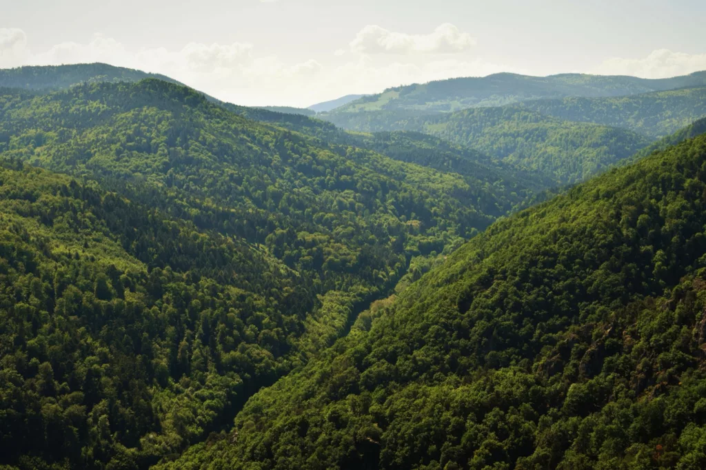 vue sur les vosges france