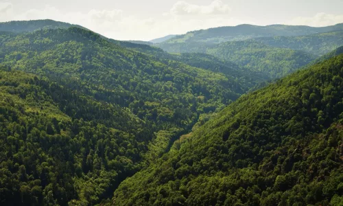 vue sur les vosges france